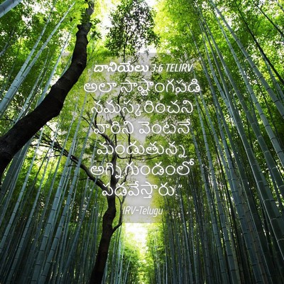Picture 04 - దానియేలు 3:6 TELIRV - అలా సాష్టాంగపడి - Bible Verse Picture