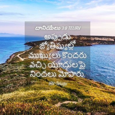 Picture 04 - దానియేలు 3:8 TELIRV - అప్పుడు - Bible Verse Picture