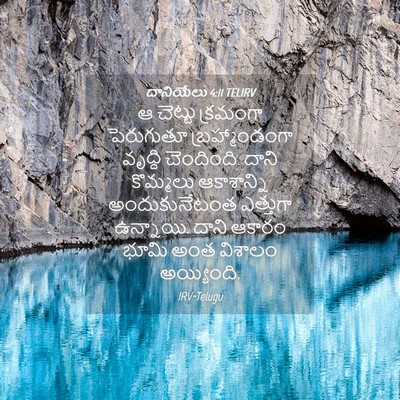 Picture 04 - దానియేలు 4:11 TELIRV - ఆ చెట్టు క్రమంగా - Bible Verse Picture