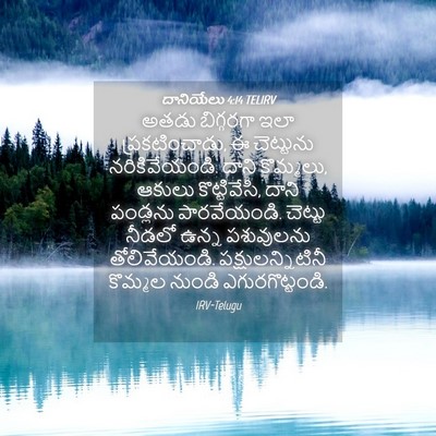 Picture 04 - దానియేలు 4:14 TELIRV - అతడు బిగ్గరగా ఇలా - Bible Verse Picture