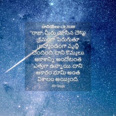 Picture 04 - దానియేలు 4:20 TELIRV - “రాజా, మీరు చూసిన - Bible Verse Picture