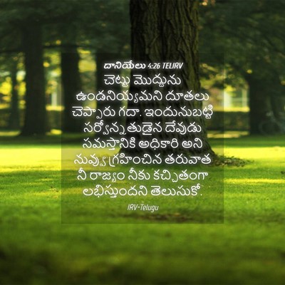 Picture 04 - దానియేలు 4:26 TELIRV - చెట్టు మొద్దును - Bible Verse Picture