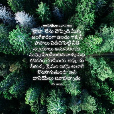 Picture 04 - దానియేలు 4:27 TELIRV - రాజా, నేను - Bible Verse Picture