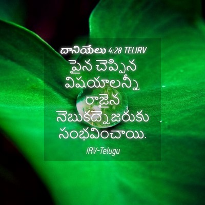Picture 04 - దానియేలు 4:28 TELIRV - పైన చెప్పిన - Bible Verse Picture