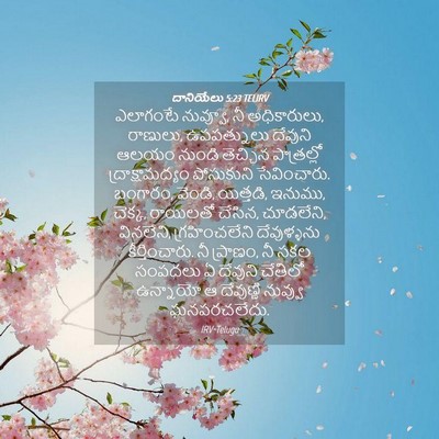 Picture 04 - దానియేలు 5:23 TELIRV - ఎలాగంటే నువ్వూ, నీ - Bible Verse Picture