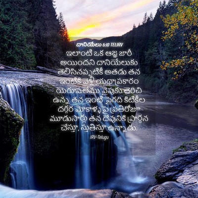 Picture 04 - దానియేలు 6:10 TELIRV - ఇలాంటి ఒక ఆజ్ఞ - Bible Verse Picture
