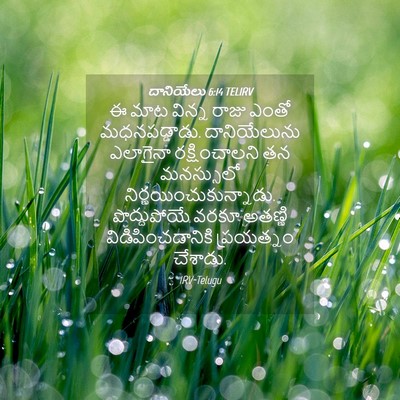 Picture 04 - దానియేలు 6:14 TELIRV - ఈ మాట విన్న రాజు - Bible Verse Picture