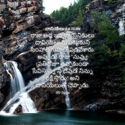 Picture 04 - దానియేలు 6:16 TELIRV - రాజు ఆజ్ఞ ఇవ్వగా - Bible Verse Picture
