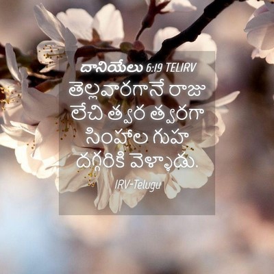 Picture 04 - దానియేలు 6:19 TELIRV - తెల్లవారగానే రాజు - Bible Verse Picture