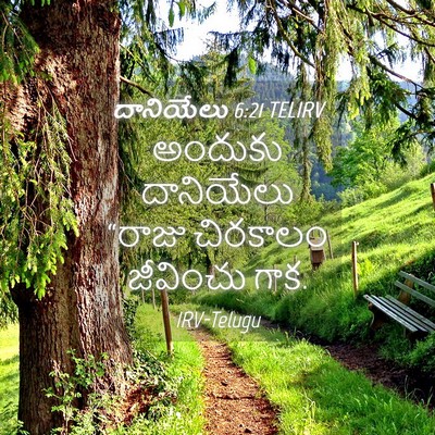 Picture 04 - దానియేలు 6:21 TELIRV - అందుకు దానియేలు - Bible Verse Picture