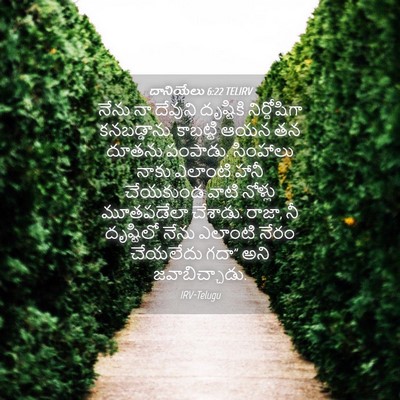 Picture 04 - దానియేలు 6:22 TELIRV - నేను నా దేవుని - Bible Verse Picture