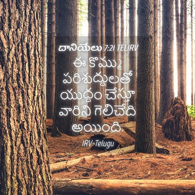 Picture 04 - దానియేలు 7:21 TELIRV - ఈ కొమ్ము - Bible Verse Picture