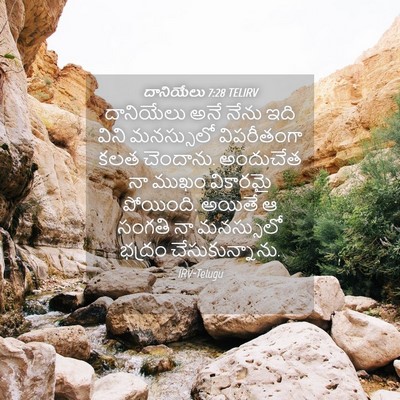 Picture 04 - దానియేలు 7:28 TELIRV - దానియేలు అనే నేను - Bible Verse Picture
