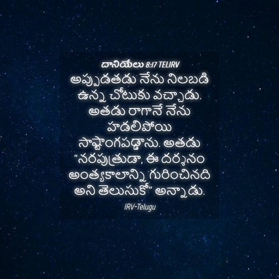 Picture 04 - దానియేలు 8:17 TELIRV - అప్పుడతడు నేను - Bible Verse Picture