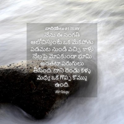 Picture 04 - దానియేలు 8:5 TELIRV - నేను ఈ సంగతి - Bible Verse Picture
