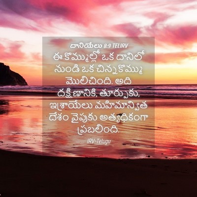 Picture 04 - దానియేలు 8:9 TELIRV - ఈ కొమ్ముల్లో ఒక - Bible Verse Picture