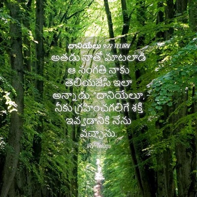 Picture 04 - దానియేలు 9:22 TELIRV - అతడు నాతో మాటలాడి - Bible Verse Picture