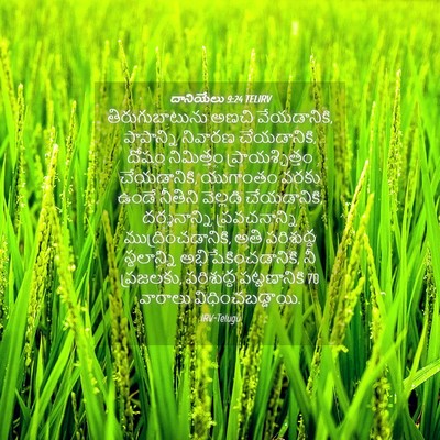 Picture 04 - దానియేలు 9:24 TELIRV - తిరుగుబాటును అణచి - Bible Verse Picture
