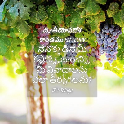 Picture 04 - ద్వితీయోపదేశ కాండము 1:12 TELIRV - నేనొక్కడినే మీ - Bible Verse Picture