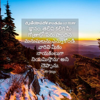 Picture 04 - ద్వితీయోపదేశ కాండము 1:13 TELIRV - జ్ఞానం, తెలివి - Bible Verse Picture