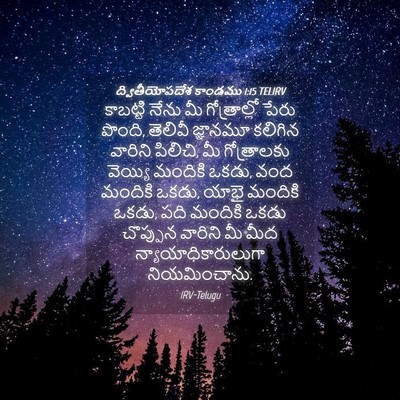 Picture 04 - ద్వితీయోపదేశ కాండము 1:15 TELIRV - కాబట్టి నేను మీ - Bible Verse Picture
