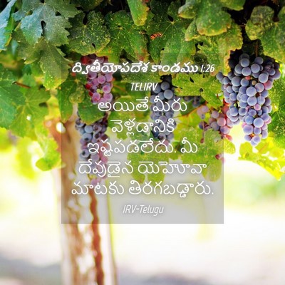 Picture 04 - ద్వితీయోపదేశ కాండము 1:26 TELIRV - అయితే మీరు - Bible Verse Picture