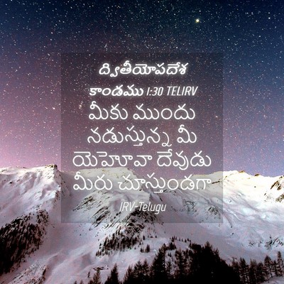Picture 04 - ద్వితీయోపదేశ కాండము 1:30 TELIRV - మీకు ముందు - Bible Verse Picture