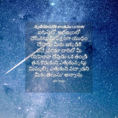 Picture 04 - ద్వితీయోపదేశ కాండము 1:31 TELIRV - ఐగుప్తులో, - Bible Verse Picture