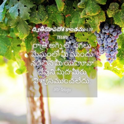 Picture 04 - ద్వితీయోపదేశ కాండము 1:33 TELIRV - రాత్రి అగ్నిలో, - Bible Verse Picture