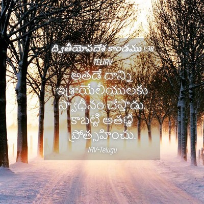 Picture 04 - ద్వితీయోపదేశ కాండము 1:38 TELIRV - అతడే దాన్ని - Bible Verse Picture