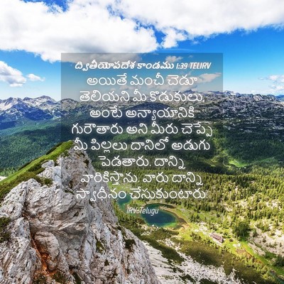 Picture 04 - ద్వితీయోపదేశ కాండము 1:39 TELIRV - అయితే మంచీ చెడూ - Bible Verse Picture