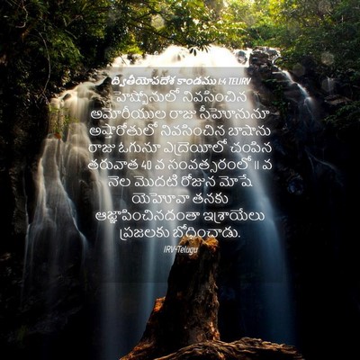 Picture 04 - ద్వితీయోపదేశ కాండము 1:4 TELIRV - హెష్బోనులో - Bible Verse Picture