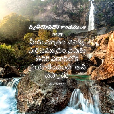 Picture 04 - ద్వితీయోపదేశ కాండము 1:40 TELIRV - మీరు మాత్రం - Bible Verse Picture