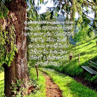 Picture 04 - ద్వితీయోపదేశ కాండము 1:42 TELIRV - అప్పుడు యెహోవా - Bible Verse Picture