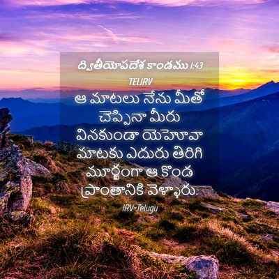 Picture 04 - ద్వితీయోపదేశ కాండము 1:43 TELIRV - ఆ మాటలు నేను మీతో - Bible Verse Picture