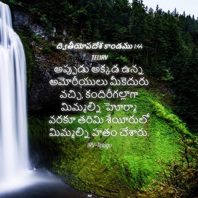 Picture 04 - ద్వితీయోపదేశ కాండము 1:44 TELIRV - అప్పుడు అక్కడ - Bible Verse Picture