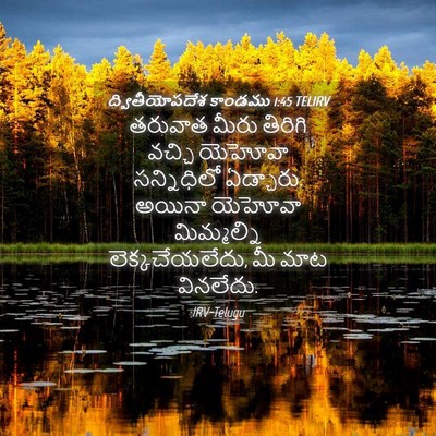 Picture 04 - ద్వితీయోపదేశ కాండము 1:45 TELIRV - తరువాత మీరు - Bible Verse Picture