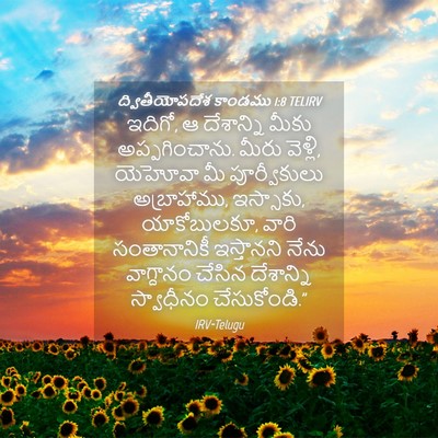 Picture 04 - ద్వితీయోపదేశ కాండము 1:8 TELIRV - ఇదిగో, ఆ దేశాన్ని - Bible Verse Picture