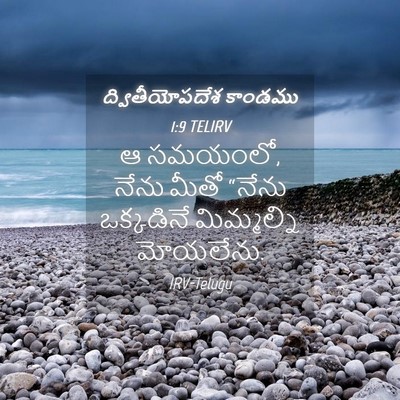 Picture 04 - ద్వితీయోపదేశ కాండము 1:9 TELIRV - ఆ సమయంలో, నేను మీతో - Bible Verse Picture