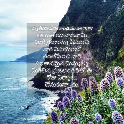 Picture 04 - ద్వితీయోపదేశ కాండము 10:15 TELIRV - అయితే యెహోవా మీ - Bible Verse Picture