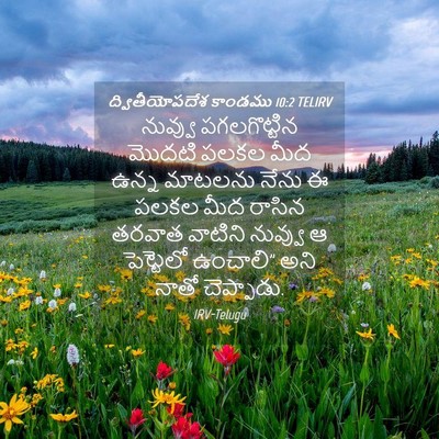 Picture 04 - ద్వితీయోపదేశ కాండము 10:2 TELIRV - నువ్వు పగలగొట్టిన - Bible Verse Picture