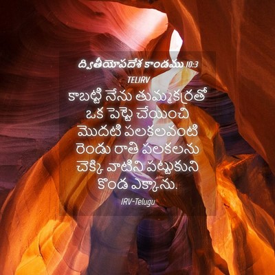 Picture 04 - ద్వితీయోపదేశ కాండము 10:3 TELIRV - కాబట్టి నేను - Bible Verse Picture