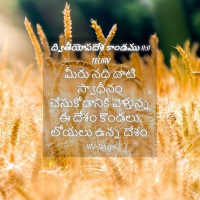 Picture 04 - ద్వితీయోపదేశ కాండము 11:11 TELIRV - మీరు నది దాటి - Bible Verse Picture