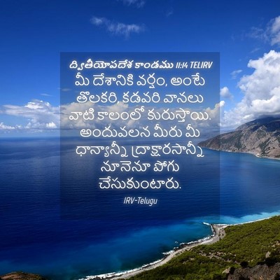 Picture 04 - ద్వితీయోపదేశ కాండము 11:14 TELIRV - మీ దేశానికి వర్షం, - Bible Verse Picture