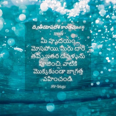 Picture 04 - ద్వితీయోపదేశ కాండము 11:16 TELIRV - మీ హృదయం మోసపోయి, - Bible Verse Picture