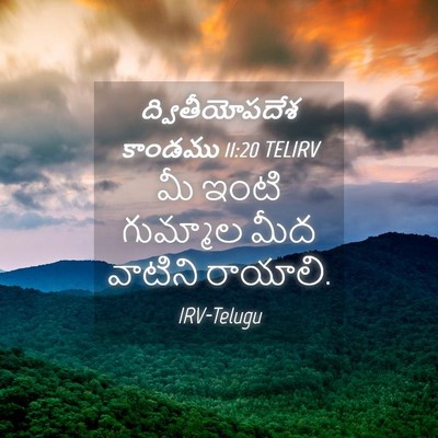 Picture 04 - ద్వితీయోపదేశ కాండము 11:20 TELIRV - మీ ఇంటి గుమ్మాల - Bible Verse Picture