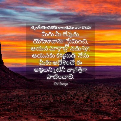 Picture 04 - ద్వితీయోపదేశ కాండము 11:22 TELIRV - మీరు మీ దేవుడు - Bible Verse Picture