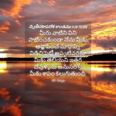 Picture 04 - ద్వితీయోపదేశ కాండము 11:28 TELIRV - మీరు వాటిని విని - Bible Verse Picture