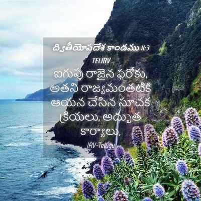 Picture 04 - ద్వితీయోపదేశ కాండము 11:3 TELIRV - ఐగుప్తు రాజైన - Bible Verse Picture