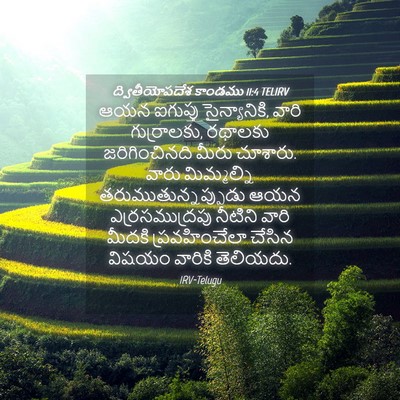 Picture 04 - ద్వితీయోపదేశ కాండము 11:4 TELIRV - ఆయన ఐగుప్తు - Bible Verse Picture